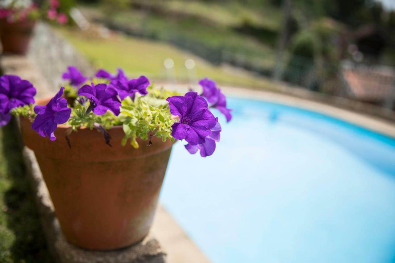 Espigueiro Da Casada Villa Rural - Foz Do Douro By Lw Foz do Sousa ภายนอก รูปภาพ